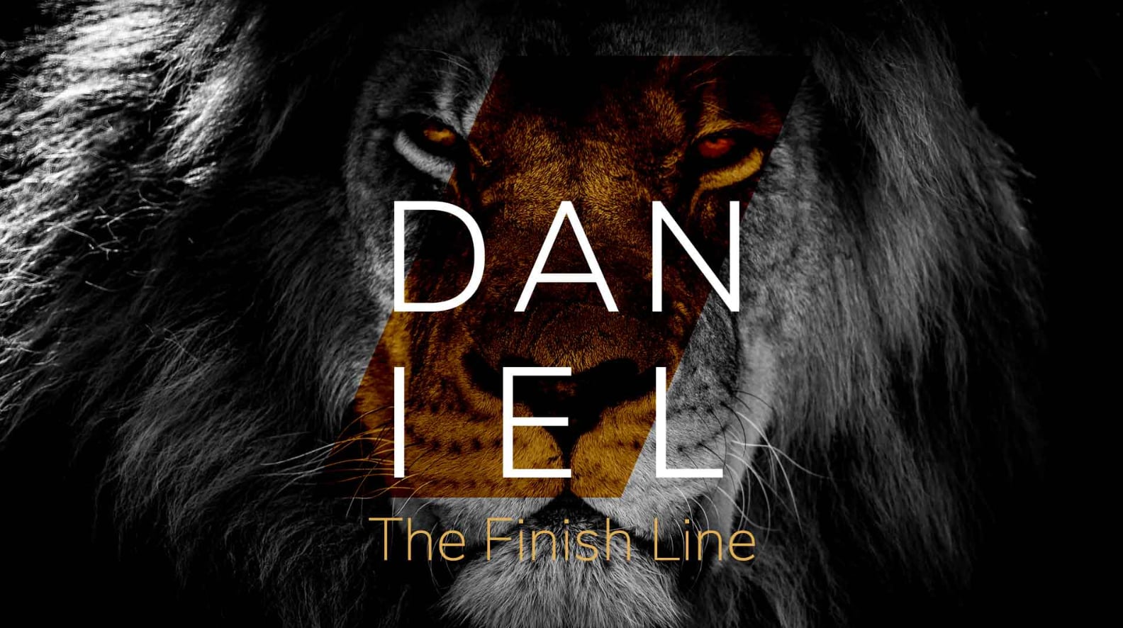 Daniel: The Finish Line