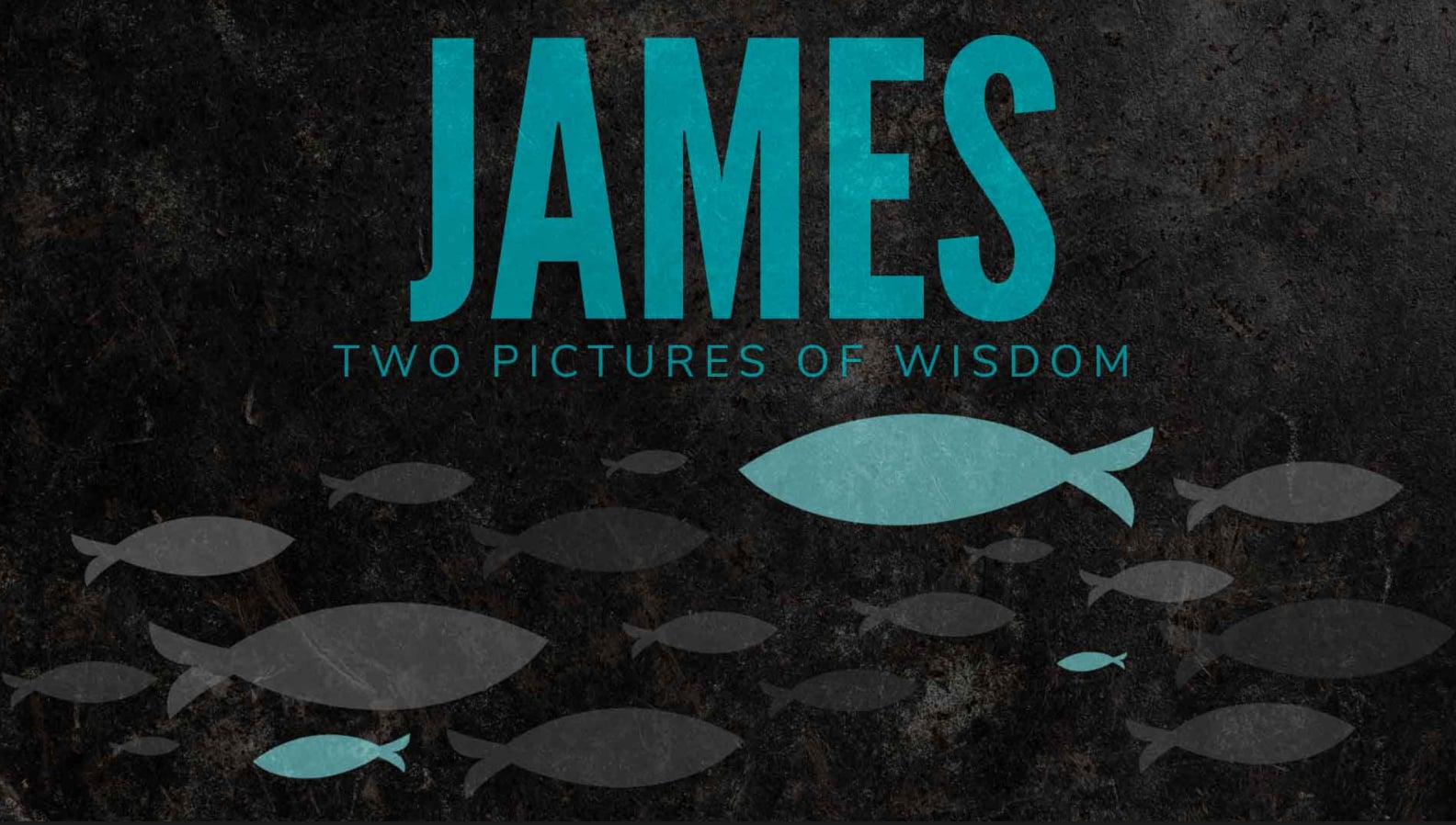James: Two Pictures of Wisdom