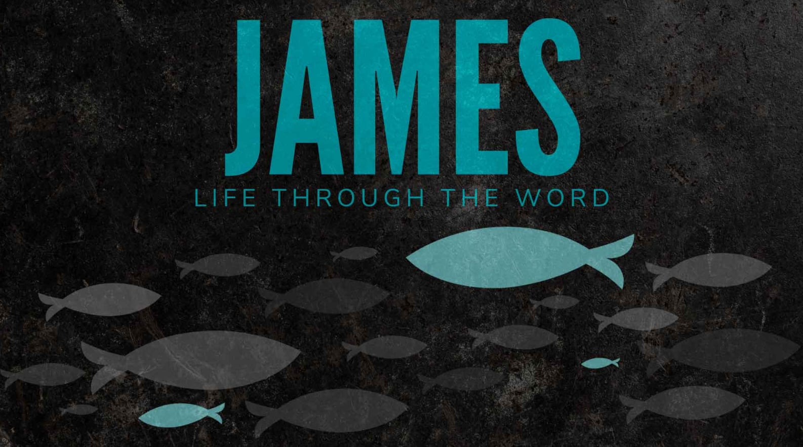 James: Life Through The Word